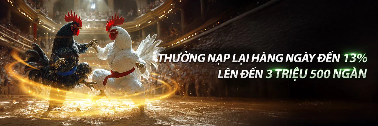 Giao diện Kubet App Android với trận đá gà trực tuyến sôi động