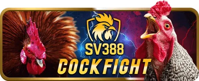 Hướng dẫn tải xuống và cài đặt Kubet App Android